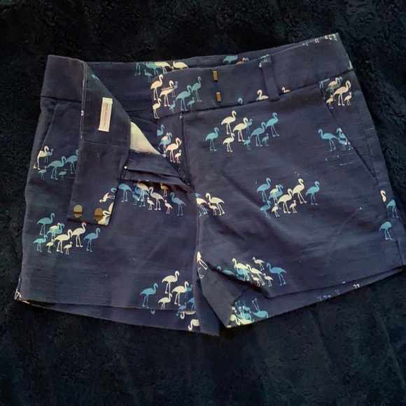 Ann Taylor loft shorts - Picture 2 of 5